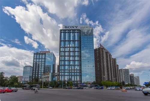 金山区木塑发泡板挤出设备