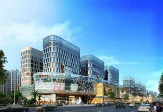 江苏宽叶雀稗草种成活率