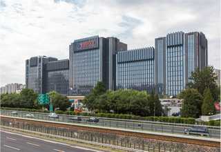 上海幼年龙鱼喂养方法