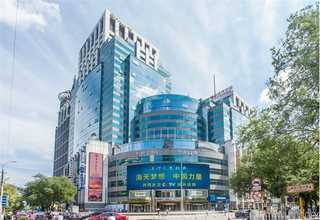 辽宁绿色城镇绿化苗