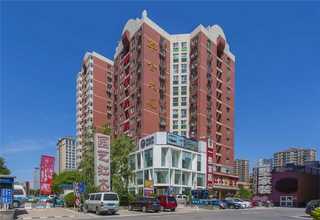 无锡豆蔻调味粉批发