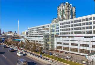 生长分化因子11(GDF11)重组蛋白技术