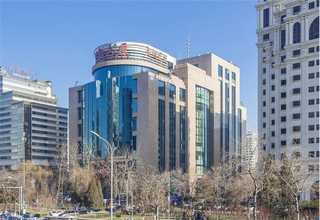 临沂纯种拉布拉多犬