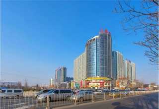 浦东新区复古文化衫直销价格