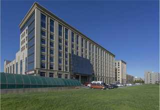 江西2公分芝麻黑