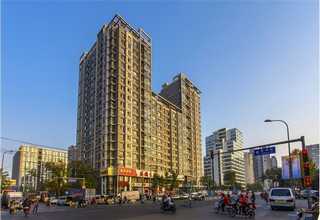 聊城木质护栏推荐厂家